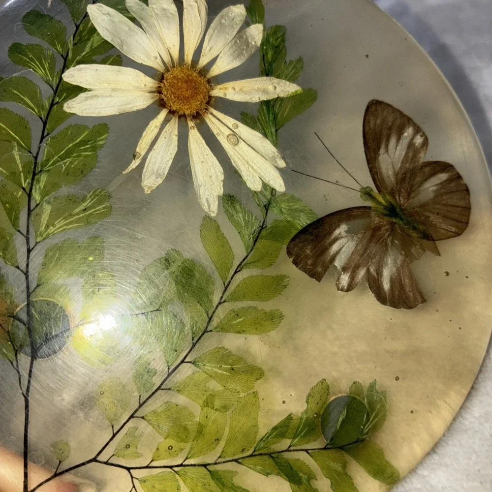 Lucite‎ Dry Daisy Ferns Butterfly Trivet Mid Century 1960s Vintage